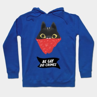 Be gay Do Crimes - Cat bandit version Hoodie